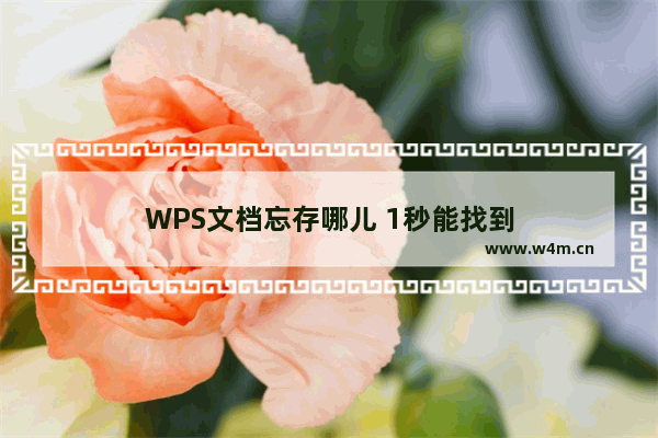 WPS文档忘存哪儿 1秒能找到