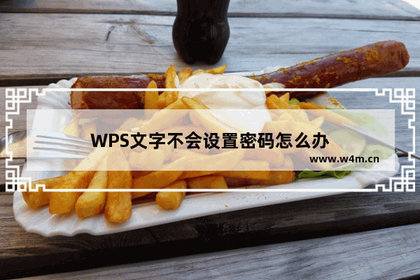 WPS文字不会设置密码怎么办