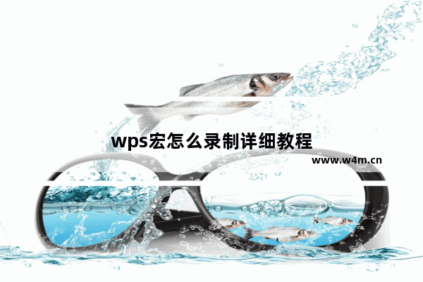 wps宏怎么录制详细教程