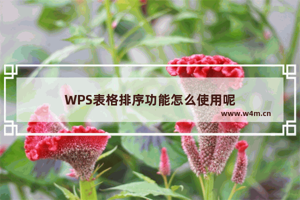 WPS表格排序功能怎么使用呢