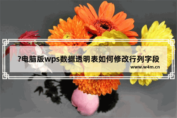 ?电脑版wps数据透明表如何修改行列字段顺序