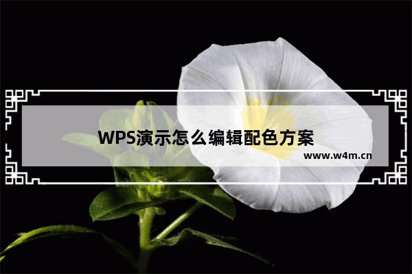 WPS演示怎么编辑配色方案