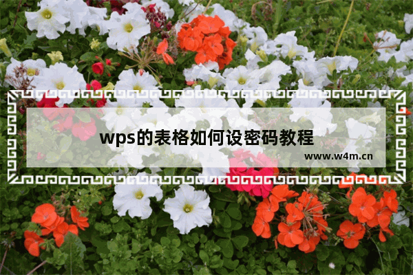 wps的表格如何设密码教程