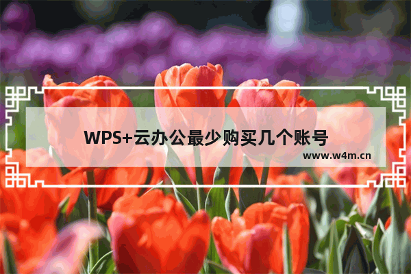 WPS+云办公最少购买几个账号