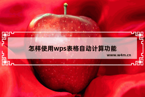 怎样使用wps表格自动计算功能