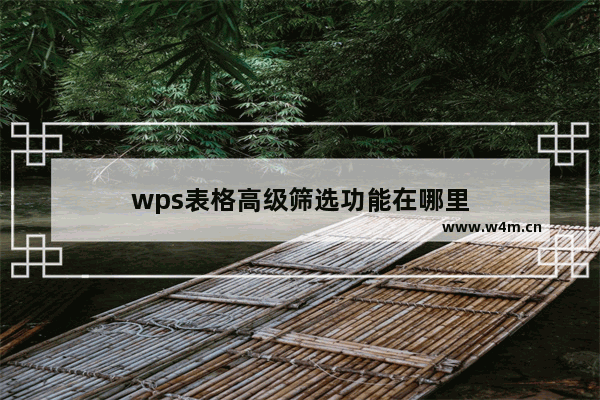 wps表格高级筛选功能在哪里