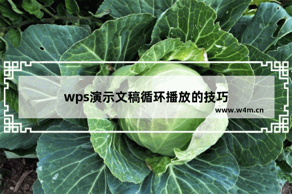 wps演示文稿循环播放的技巧