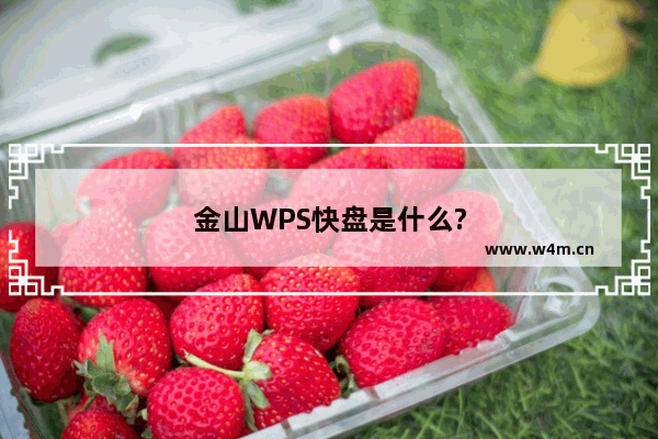 金山WPS快盘是什么?