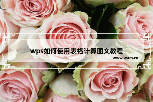 wps如何使用表格计算图文教程