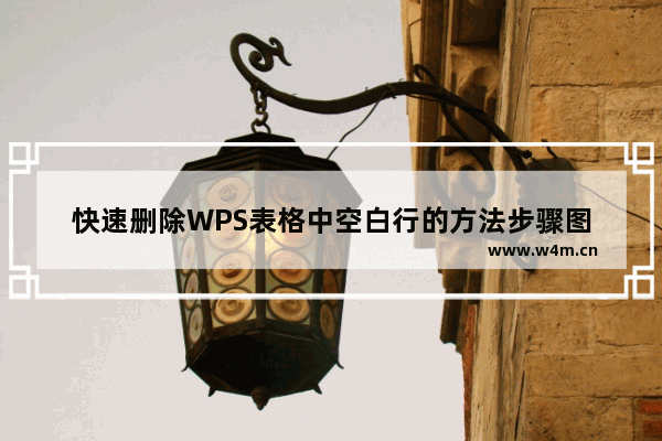 快速删除WPS表格中空白行的方法步骤图