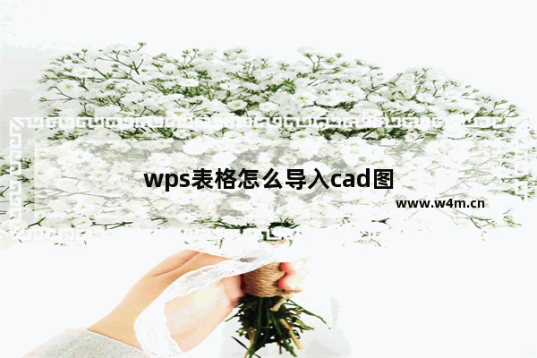 wps表格怎么导入cad图