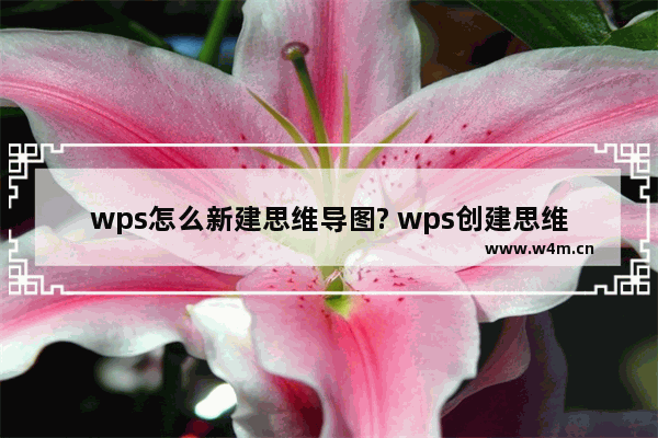 wps怎么新建思维导图? wps创建思维导图的教程