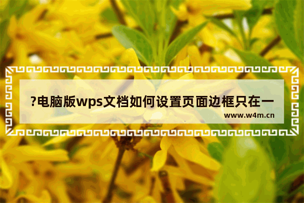 ?电脑版wps文档如何设置页面边框只在一个页面上