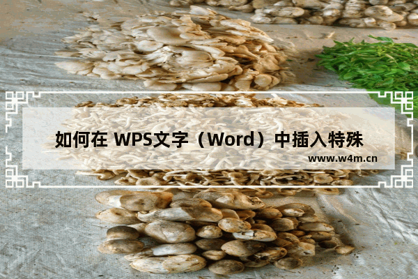 如何在 WPS文字（Word）中插入特殊符号？