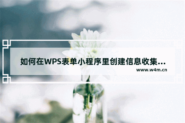 如何在WPS表单小程序里创建信息收集表单