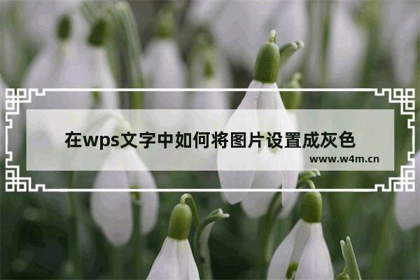 在wps文字中如何将图片设置成灰色