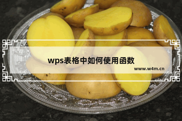 wps表格中如何使用函数