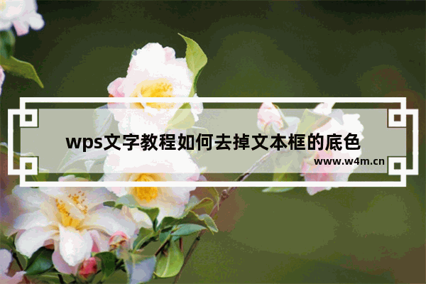 wps文字教程如何去掉文本框的底色