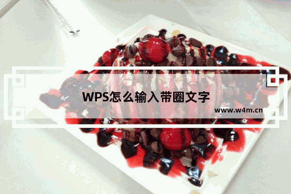 WPS怎么输入带圈文字