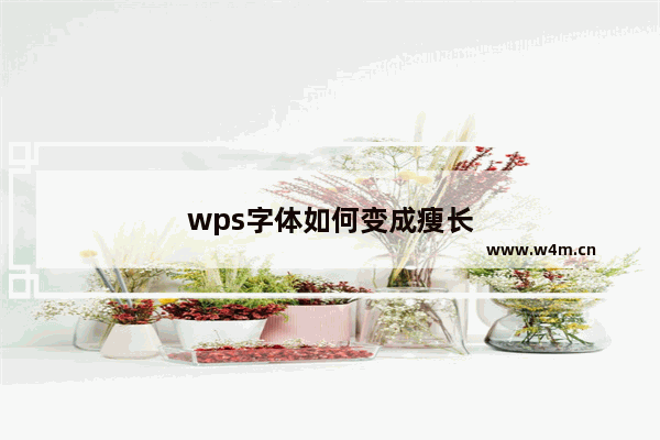 wps字体如何变成瘦长