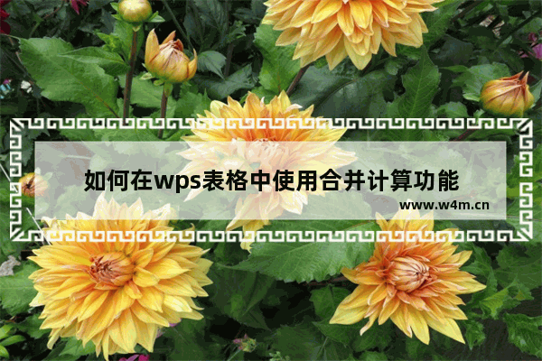 如何在wps表格中使用合并计算功能