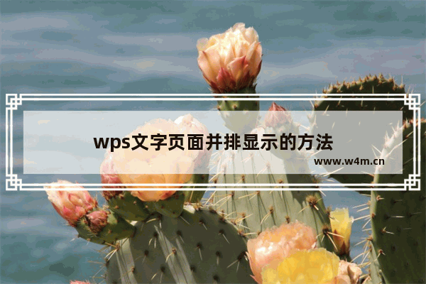 wps文字页面并排显示的方法