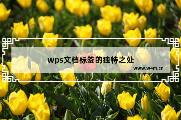 wps文档标签的独特之处