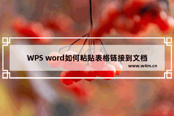 WPS word如何粘贴表格链接到文档