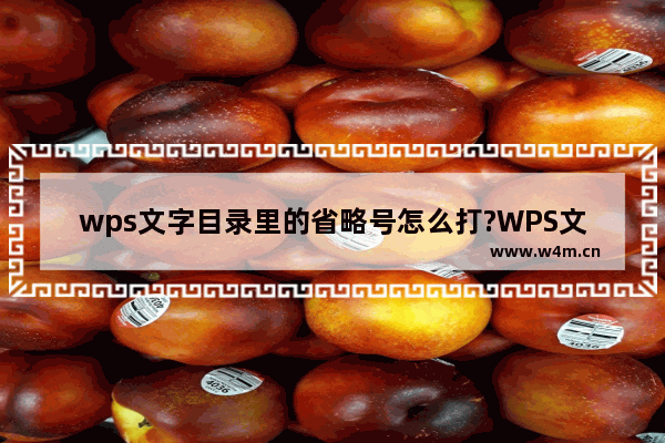 wps文字目录里的省略号怎么打?WPS文字目录输入省略号的方法教程