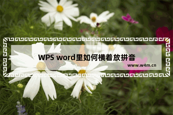 WPS word里如何横着放拼音