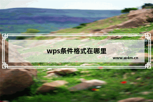 wps条件格式在哪里