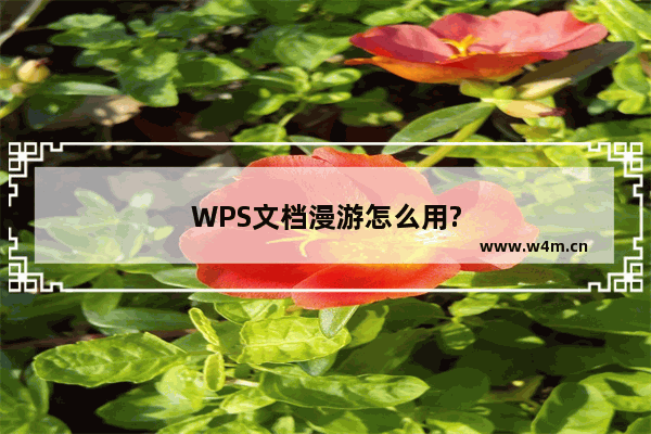 WPS文档漫游怎么用?