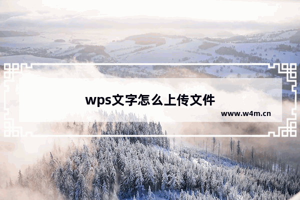 wps文字怎么上传文件