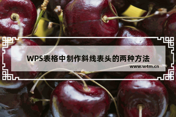 WPS表格中制作斜线表头的两种方法