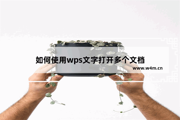 如何使用wps文字打开多个文档