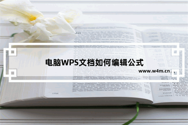 电脑WPS文档如何编辑公式