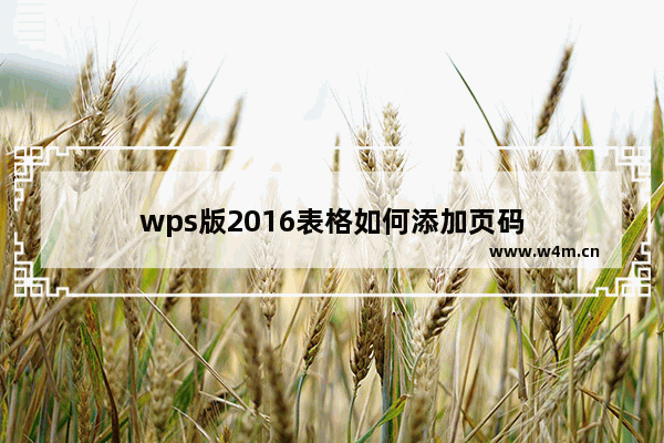 wps版2016表格如何添加页码