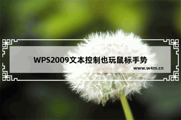 WPS2009文本控制也玩鼠标手势