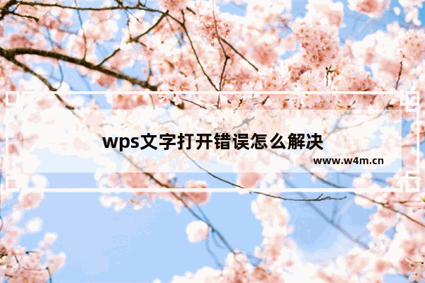 wps文字打开错误怎么解决