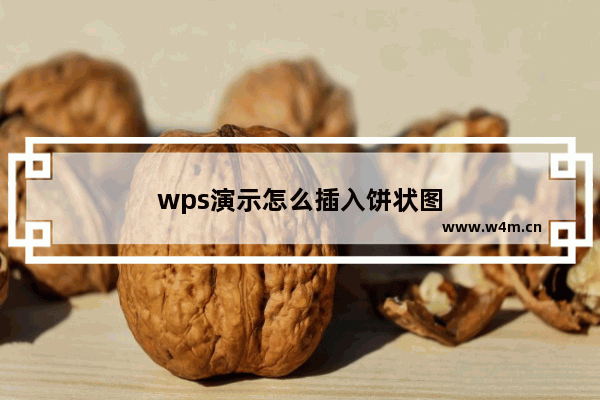 wps演示怎么插入饼状图