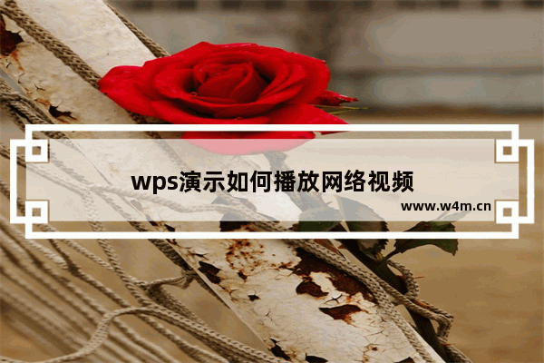 wps演示如何播放网络视频