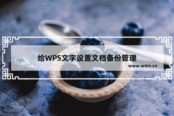 给WPS文字设置文档备份管理