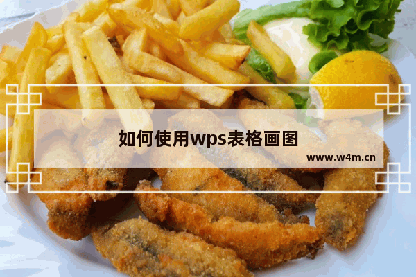 如何使用wps表格画图