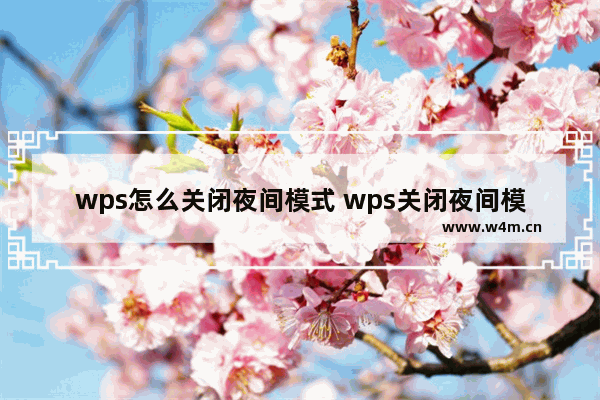 wps怎么关闭夜间模式 wps关闭夜间模式方法【详解】