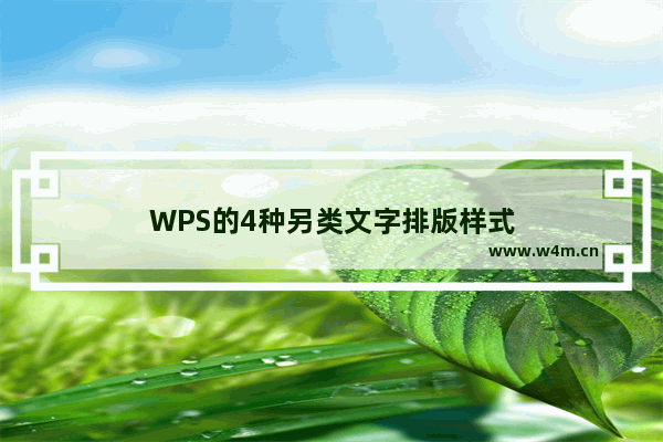 WPS的4种另类文字排版样式