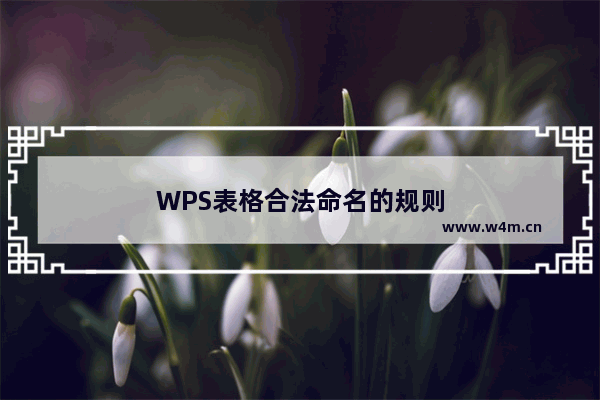 WPS表格合法命名的规则