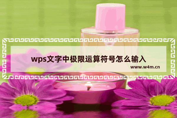 wps文字中极限运算符号怎么输入