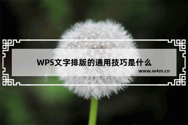 WPS文字排版的通用技巧是什么