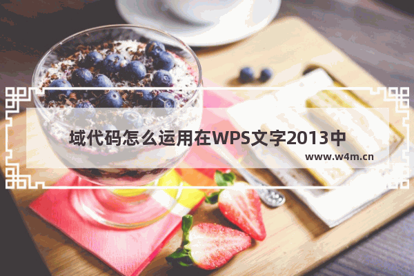 域代码怎么运用在WPS文字2013中