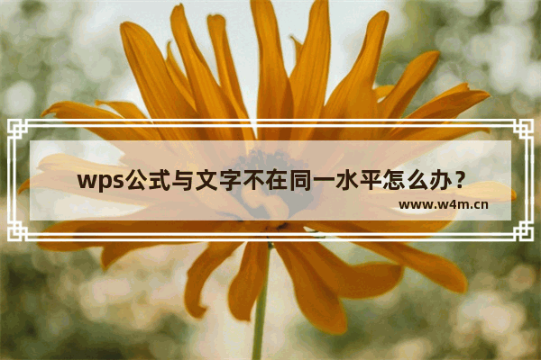 wps公式与文字不在同一水平怎么办？